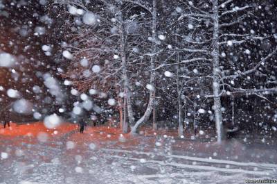 Завтра возможен сильный снег в Рязанской области - Гидрометцентр РФ