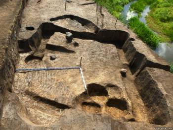 В Рыбновском районе нашил кости носорога, обитавшего около 12 тысяч лет назад