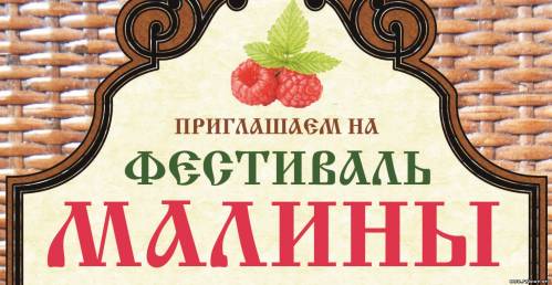 6 июля 2013 года в селе Новоселки пройдет традиционный «Фестиваль малины»