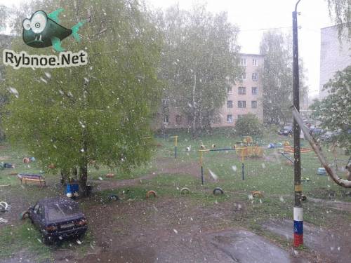 Бывает и в Рыбном снег 7 мая выпадает. Видео и фото
