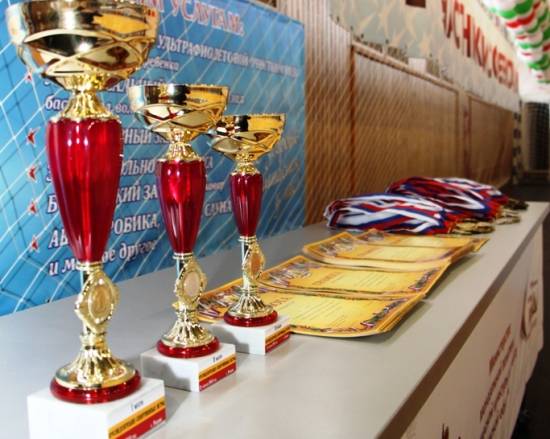 Рыбновский район выиграл областные «Президентские спортивные игры»