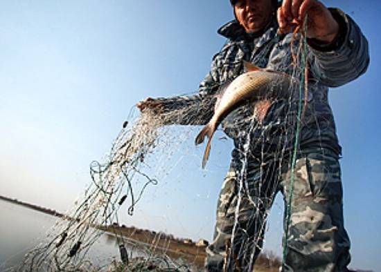 В Рыбновском районе прошли рейды по незаконному улову рыбы