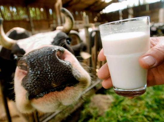 Рыбновский район занял 6 место по надою молока в 2014 году