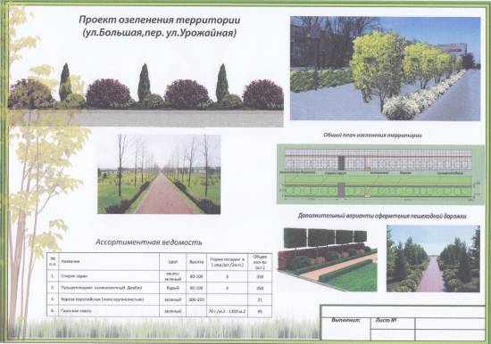 Проект по озеленению и благоустройству Рыбного