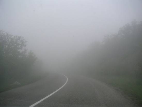 МЧС: на дорогах Рыбновского района возможен туман