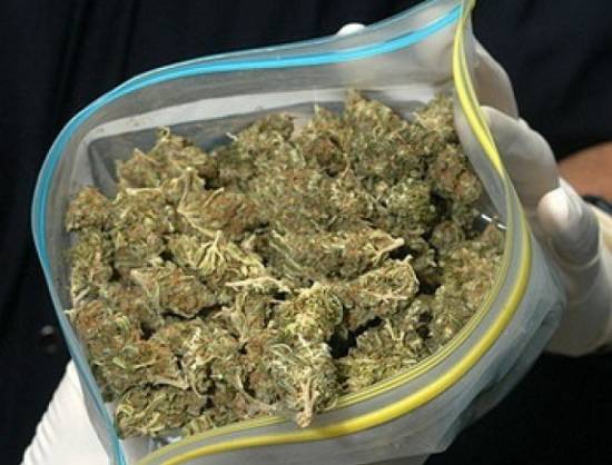228. У жителя Костино нашли 2,5 кг марихуаны