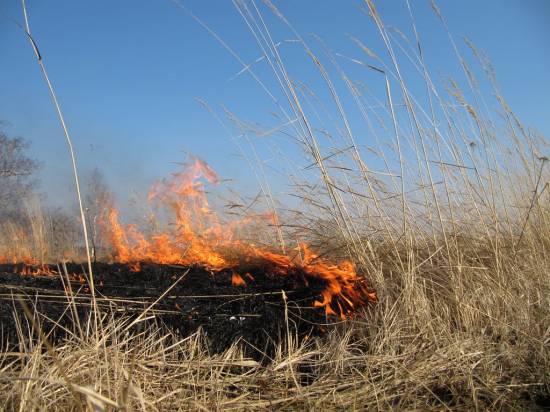пожароопасный период в рязанской области