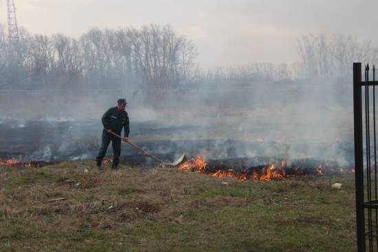 С начала весны в Рыбновском районе горела трава 58 раз