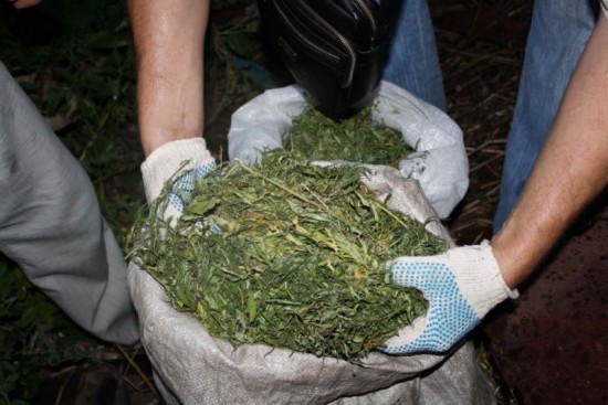 В Рыбном задержали мужчину почти с 2 кг марихуаны