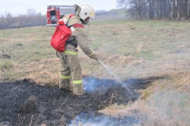 В Рыбновском районе произошло четыре возгарания сухой травы