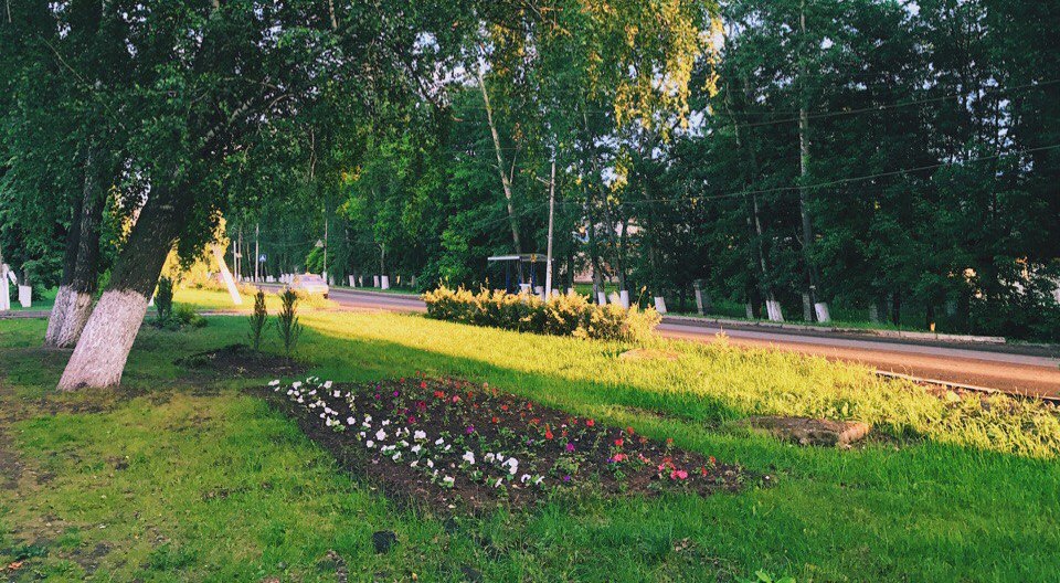 Продолжаются работы по благоустройству и озеленению города Рыбное