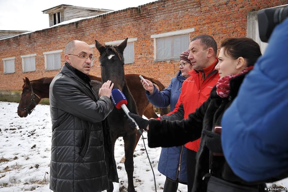 Дмитрий Филиппов: лошади в Рыбновском районе в нормальном состоянии
