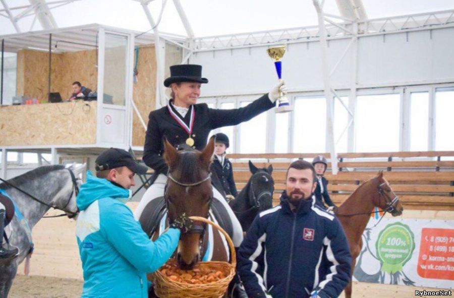 В Дивово завершились соревнования по конному спорту