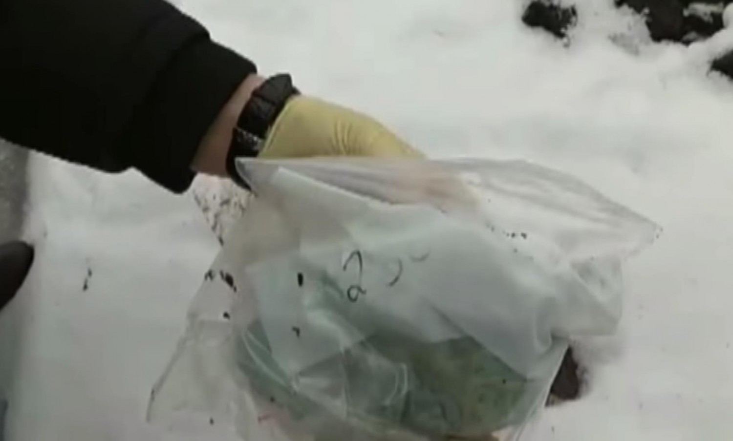 В Рыбновском районе обнаружили тайник с синтетическими наркотиками