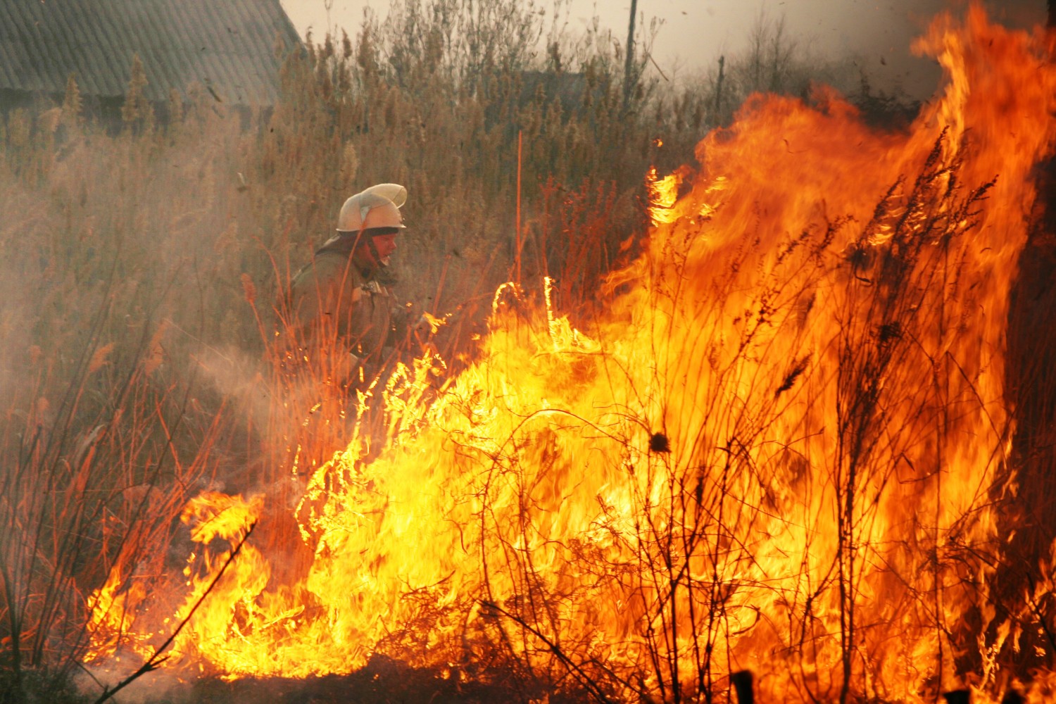 В Рыбновском районе тушили лесной пожар площадью почти в гектар