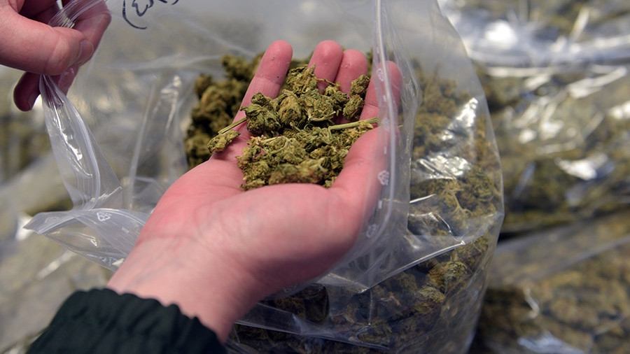 Сотрудники полиции изъяли у жителя Рыбновского района более ста грамм марихуаны