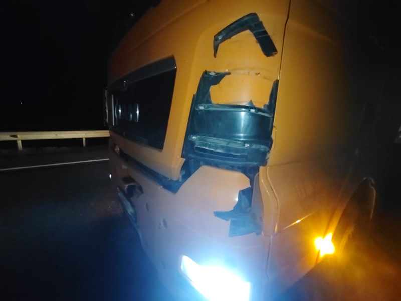 В Рыбновском районе грузовик насмерть сбил пешехода