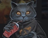 КоТ