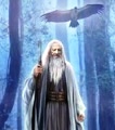Тренер