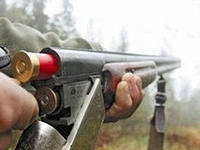 Вслед за грачами и воронами в Рязанской области разрешат отстрел лис, бобров и ондатр