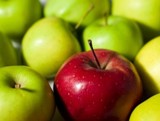 В 2013 году в Рязанской области собрали почти 1200 тонн яблок