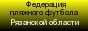 Федерация пляжного футбола